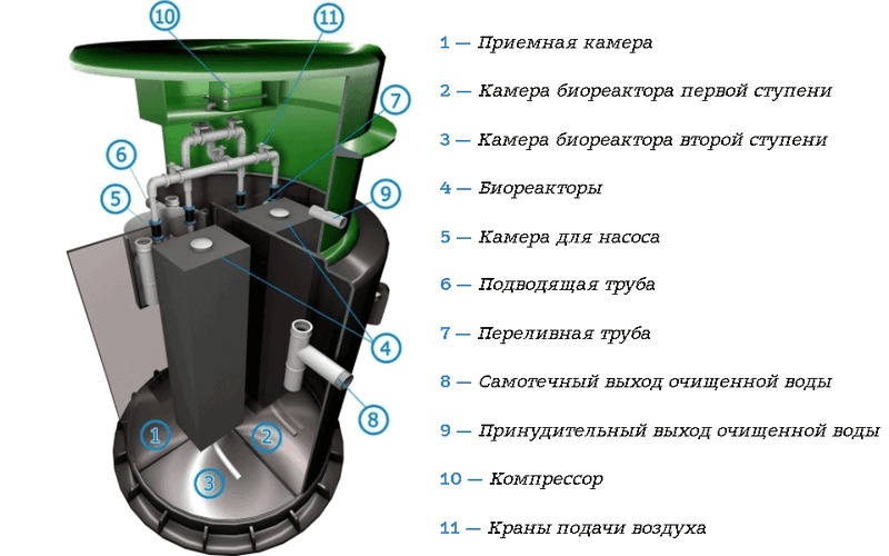 Септик Спарта 2000